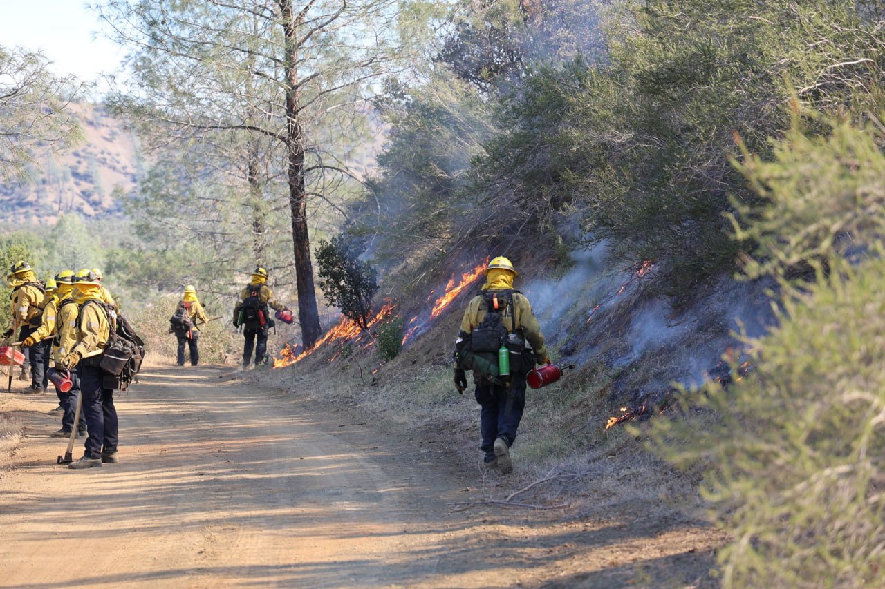 California: Điện có nguy cơ bị cắt vì lý do an toàn công cộng